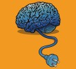 Disconnected from Reality
