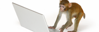 Infinite Monkey Theory