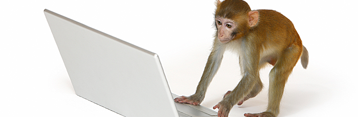 Infinite Monkey Theory