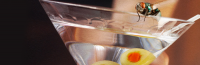Drunk Flies Get No Sex