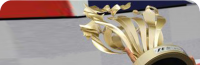The Awful Trophy : The Hungarian Grand Prix 2012