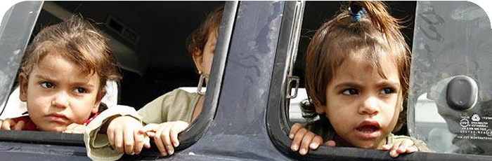 Traffic and Kids