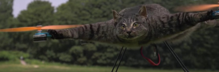 Dead Cat Drones
