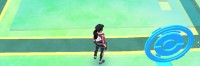 Hunting for MegaMIMO 2.0
