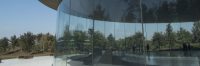 Inside The Apple Walls