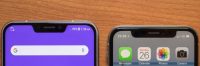 The Year Of The Notch