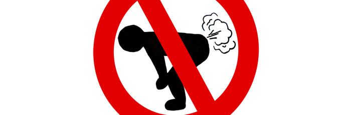 Does It Fart?