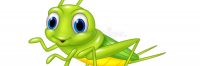 Crickets At Apple