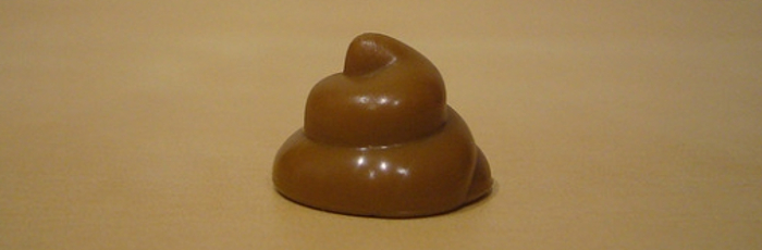 Plastic Poop