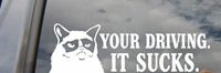 Your Driving Sucks!