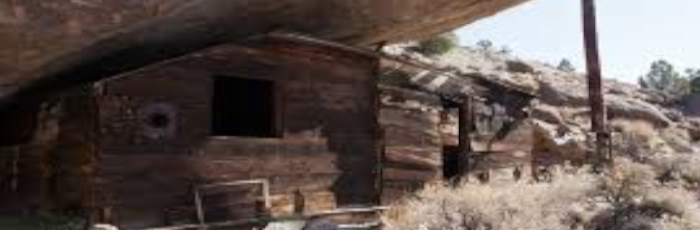 Living Underneath A Rock