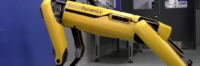 RoboDogs