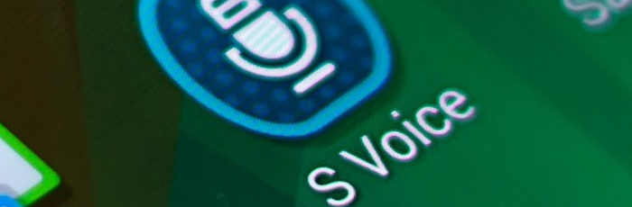 Silencing S Voice