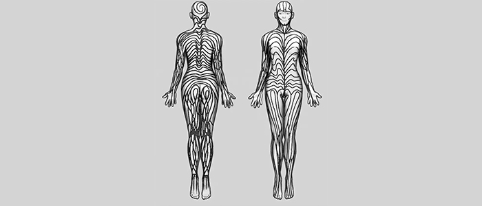 Humans have stripes