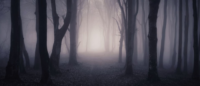 Fairytale or Nightmare?