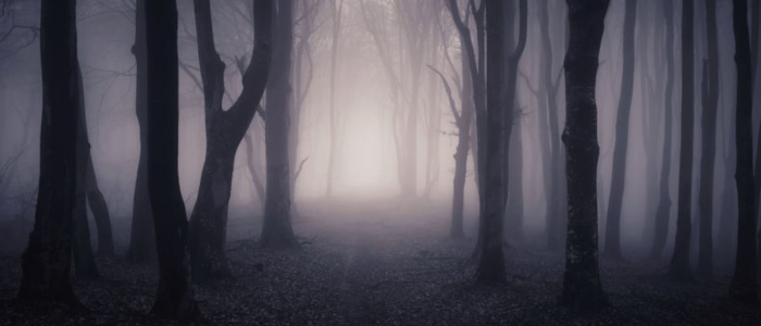 Fairytale or Nightmare?