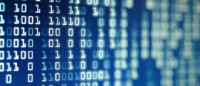 The Nitty-Gritty Data