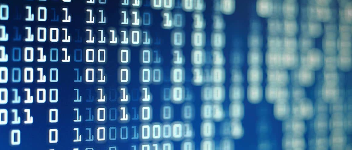 The Nitty-Gritty Data