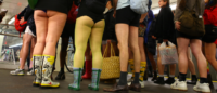 No Pants!