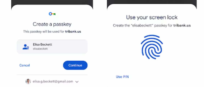 Killing The Password System