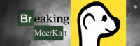 Breaking Meerkat