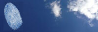 Clouded Fingerprints