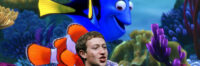 Fishy In Zuckland