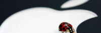 It’s A Bug
