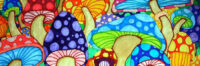 NASA’s Mushrooms